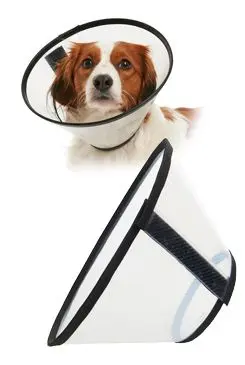 Límec ochranný Buster plastový Quick Collar 7,5cm