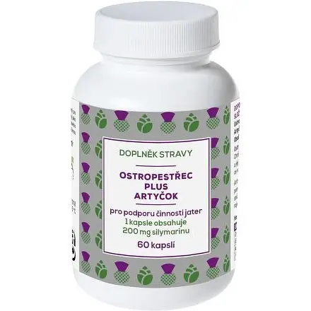 NATURVITA OSTROPESTŘEC plus ARTYČOK 60 kapslí