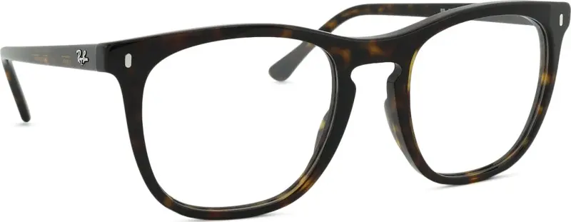 Ray-Ban 0RX2210V 2012