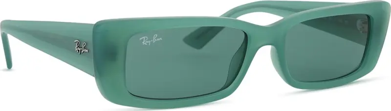 Ray-Ban Teru RB4425 676282