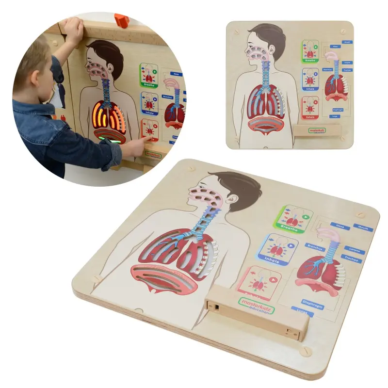Masterkidz Vzdělávací sada Montessori dýchací systém