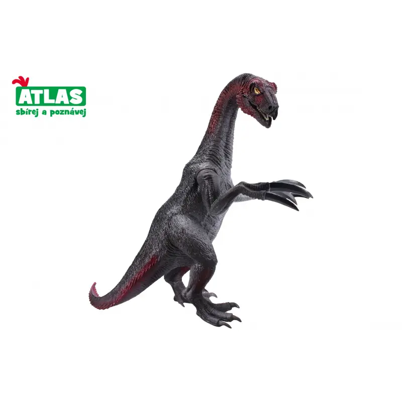 Atlas therizinosaurus 20 cm