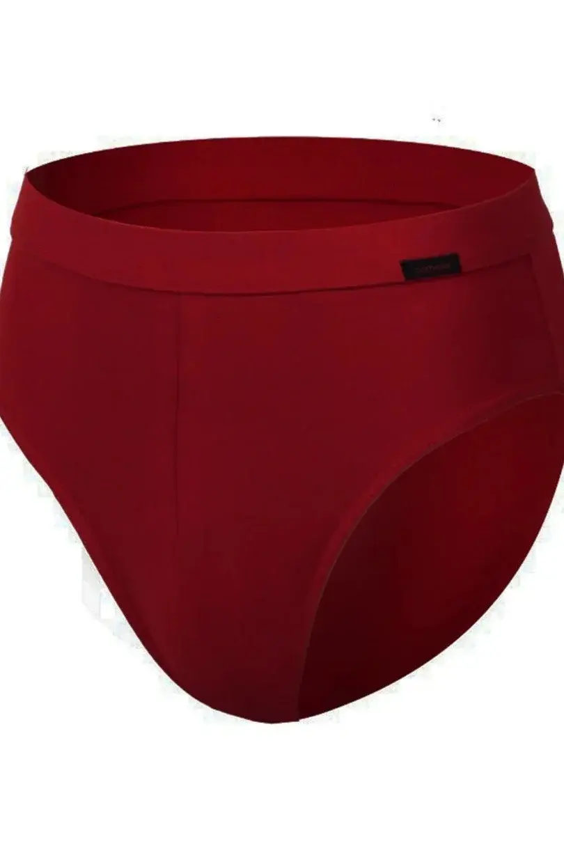 Pánské slipy Authentic 093 3-5XL claret 4XL