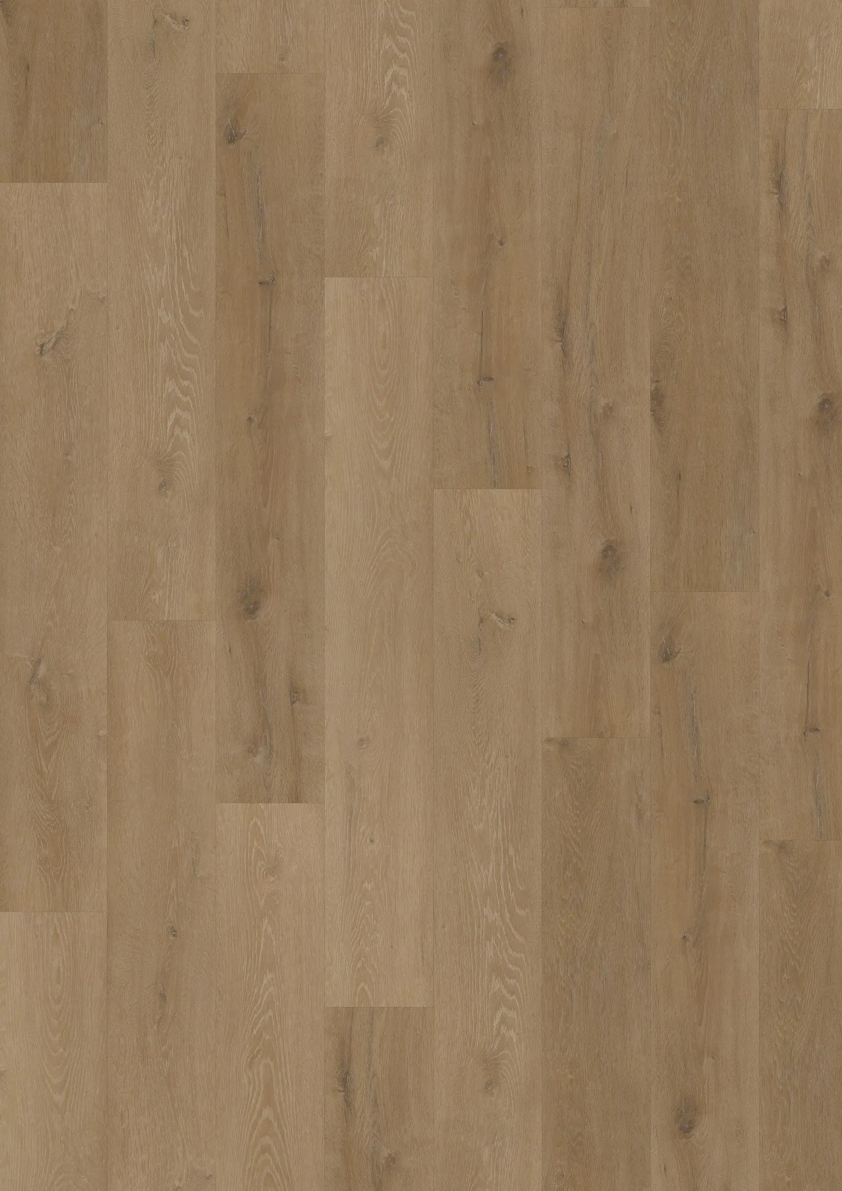 Oneflor, Vinylová podlaha lepená ECO 55 059 Prestige Oak Light Amber - dub, 1219,2 x 184,1 mm