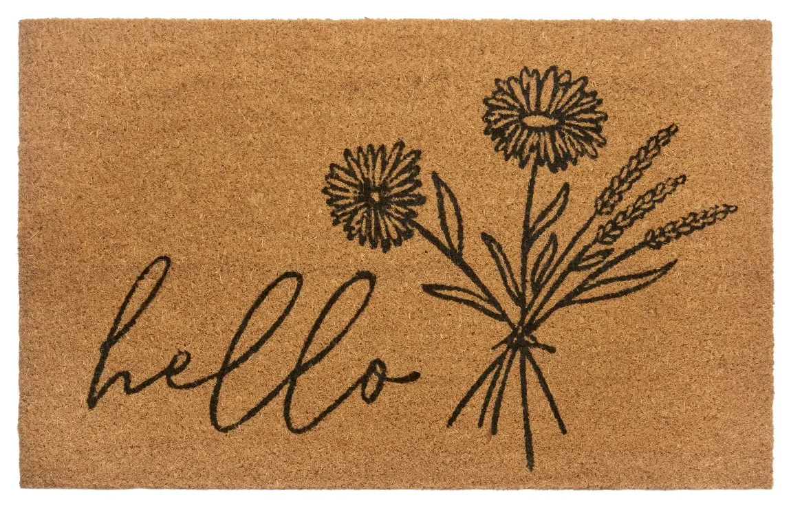 Hanse Home, Rohožka Hello 105569 - na ven i na doma, 45x75, hnědá, chodba / předsíň