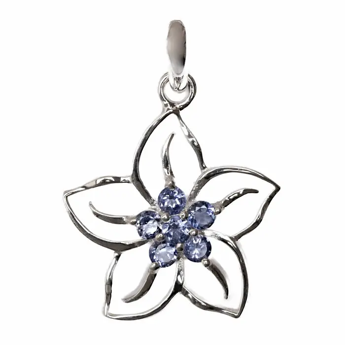 Stříbrný přívěsek s iolitem PETALIA - 34 mm, 3 g