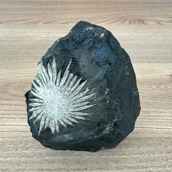 Chryzantémový kámen č. 9 - cca 7,4 x 10,3 cm, 279 g