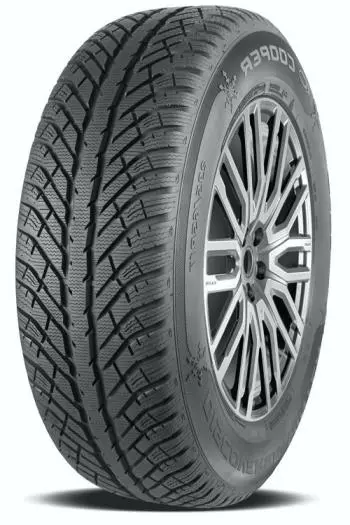 Cooper Tires DISCOVERER WINTER 205/55 R17 95V