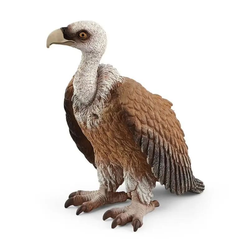 Schleich 14847 Zvířátko sup