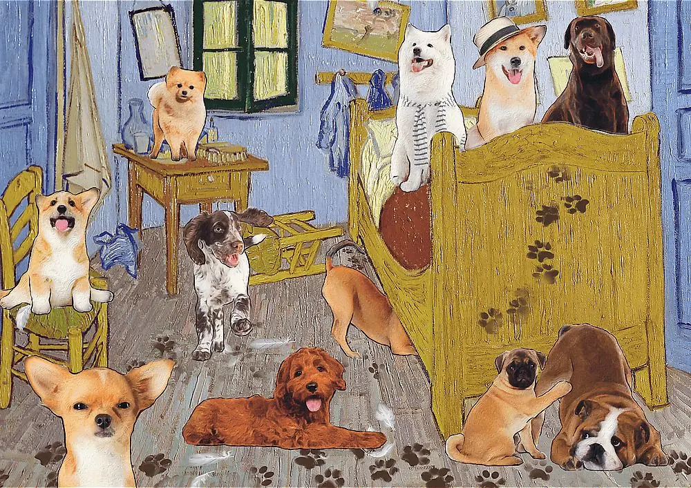 Trefl Puzzle 500 pokoj van Gogha