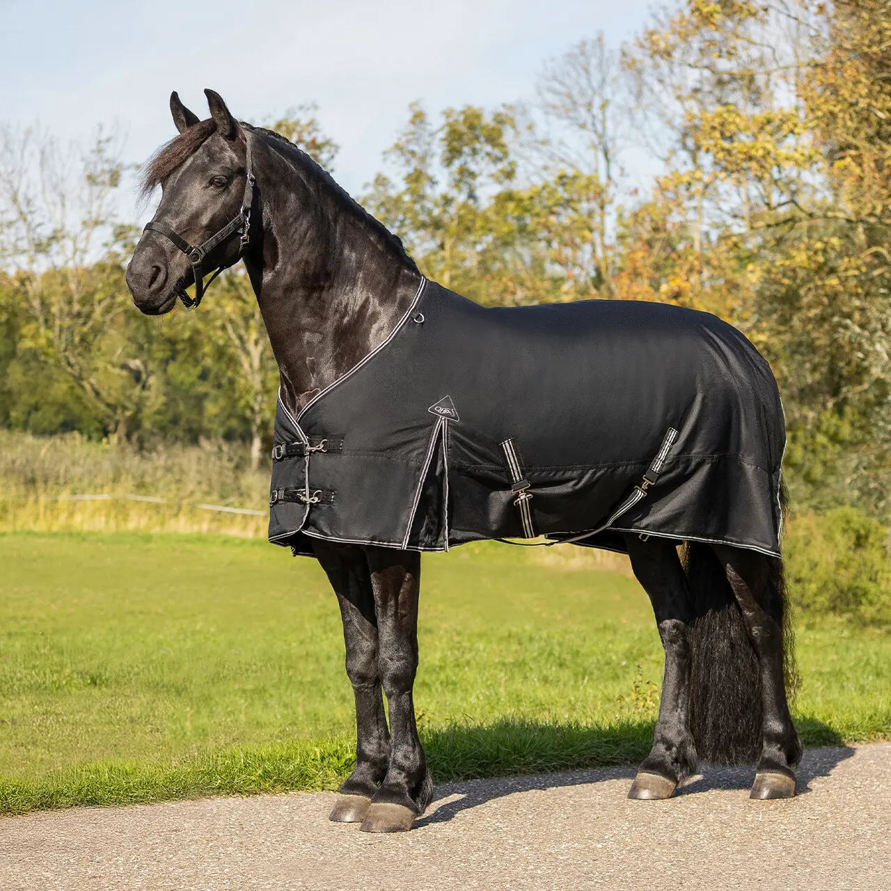 Výběhová deka QHP Big Neck pro fríské a barokní koně 150 g