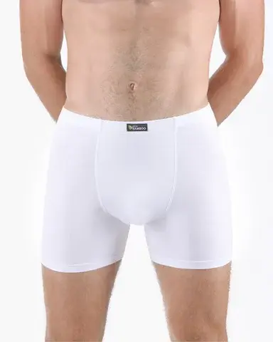 Pánské boxerky s delší nohavičkou GINO 74159P