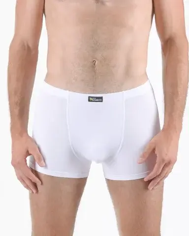 Pánské boxerky s kratší nohavičkou GINO 73125P