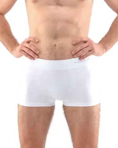 Pánské boxerky s kratší nohavičkou GINO 53005P