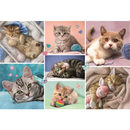 Trefl Puzzle V kočičím světě/100 dílků