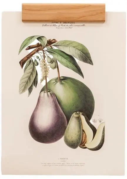 Držák na plakáty Gllu. Raisin 20 cm