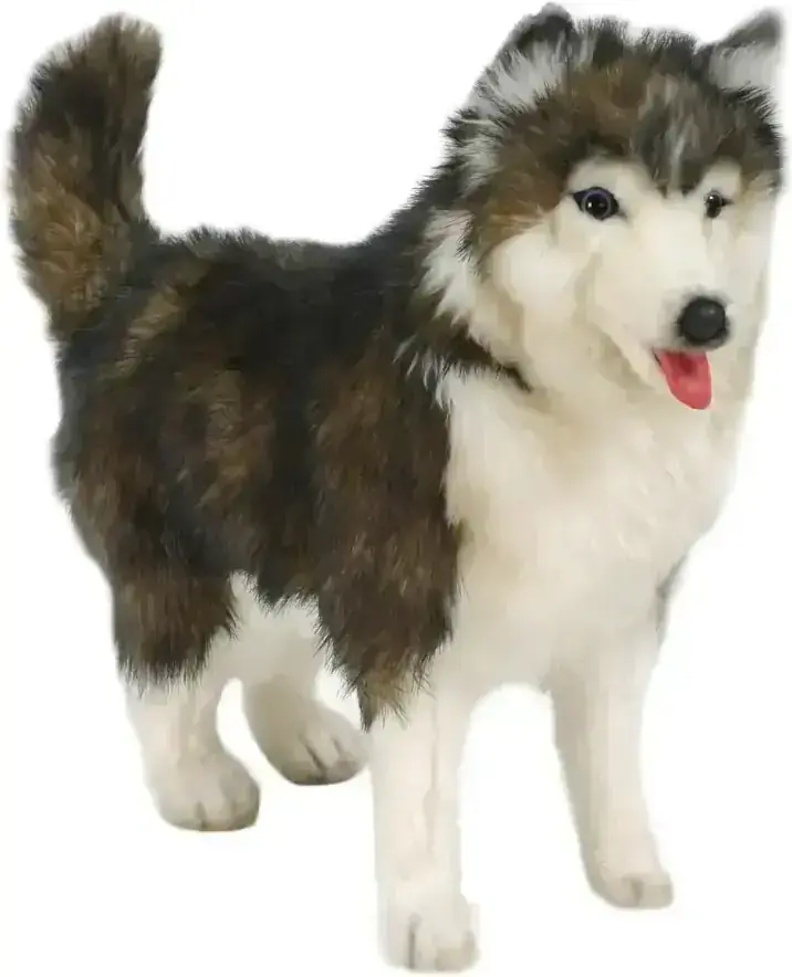 Dětská plyšová hračka Hansa Creation - Sibiřský husky 40 cm uni