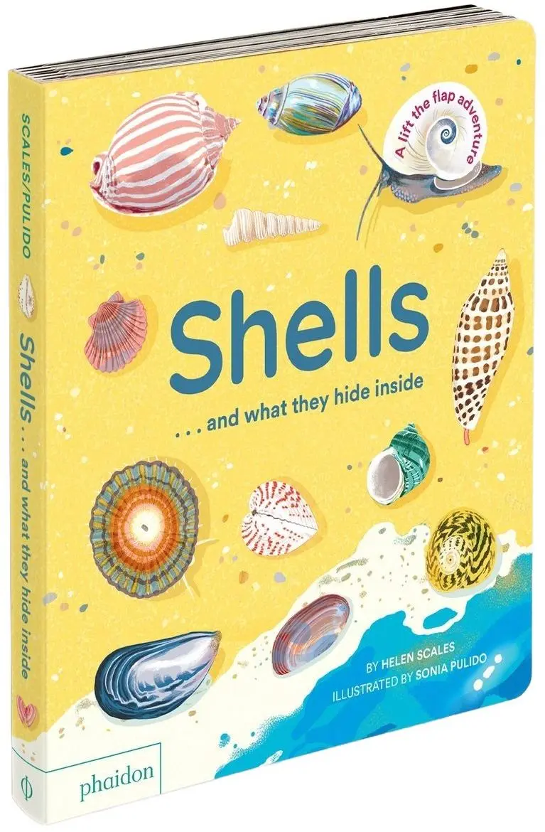 Shells... and what they hide inside - Helen Scales