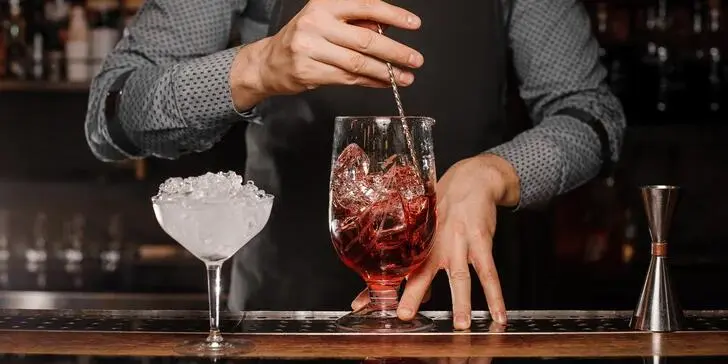 Barmanský minikurz - jednodenní kurz především pro začátečníky