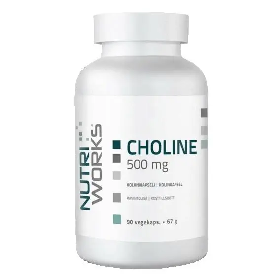 NutriWorks Choline 500mg 90 kapslí