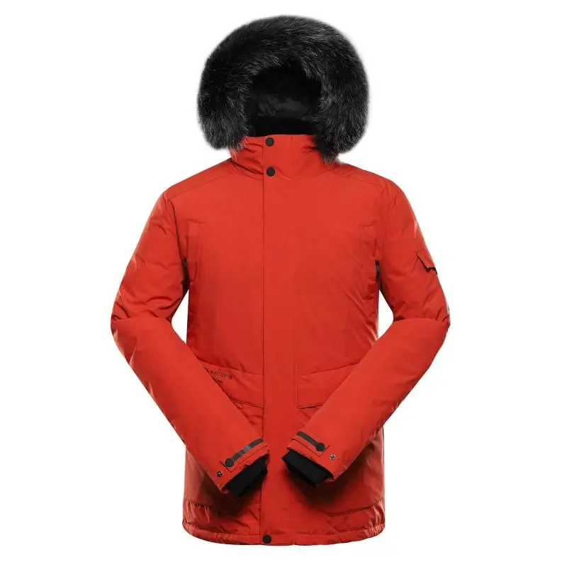 Alpine Pro WERD 2