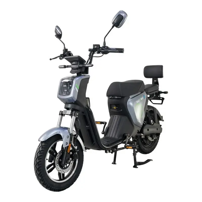 RACCEWAY Elektroskútr Pařez 25 bez ŘP šedý