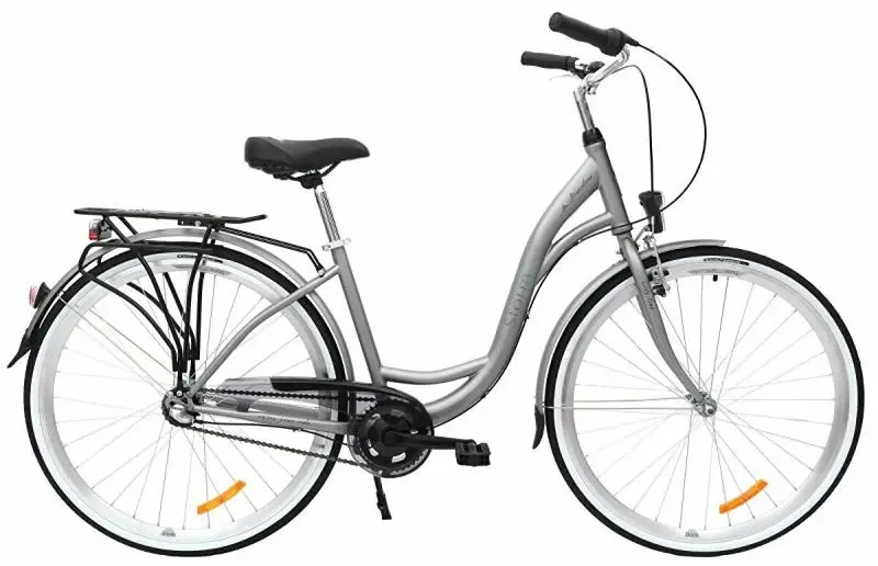 Storm Barcelona 28" 3sp. 17" matné stříbrné dámské městské kolo