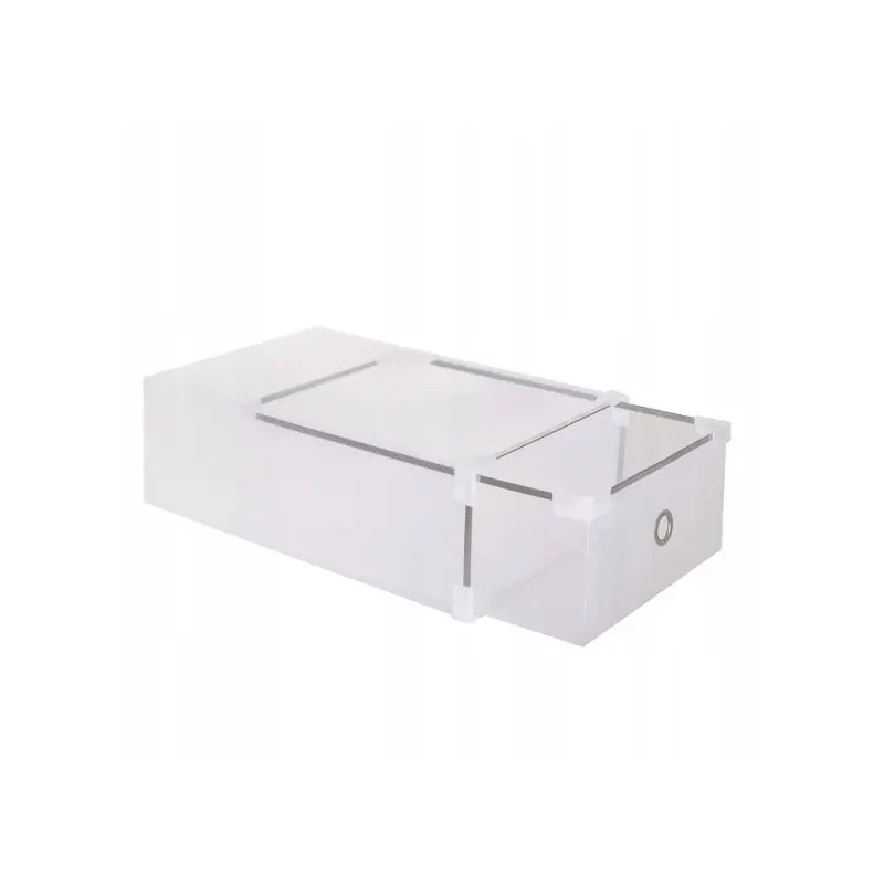 Úložný box na boty 31x20,5x11 cm SPRINGOS HA3000 průhledný