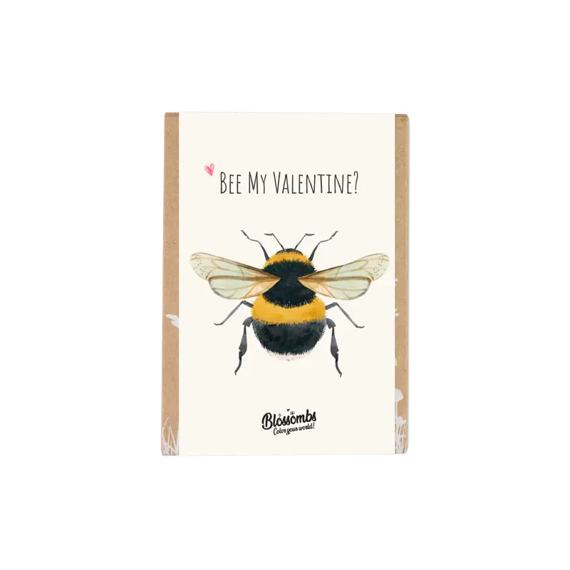 Blossombs Semínkové bomby - Dárková sada mini "Bee my Valentine" - Včelka (4 ks) - udělá radost vám i přírodě