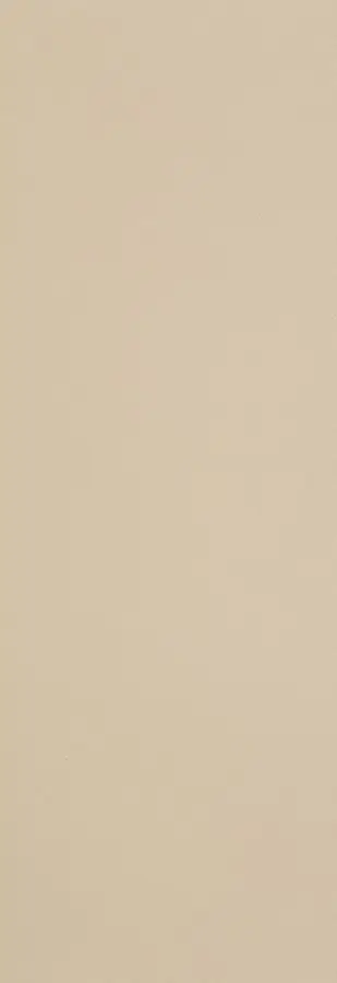 SAPHO TECHLAM BASIC CAPUCINO 300X100, 5MM T-BC1