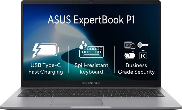 ASUS ExpertBook P1 (P1503CVA-C516512)