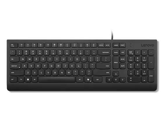 Lenovo Essential Wired Keyboard (Black) - Slovak 245/PS/2/SK/Černá