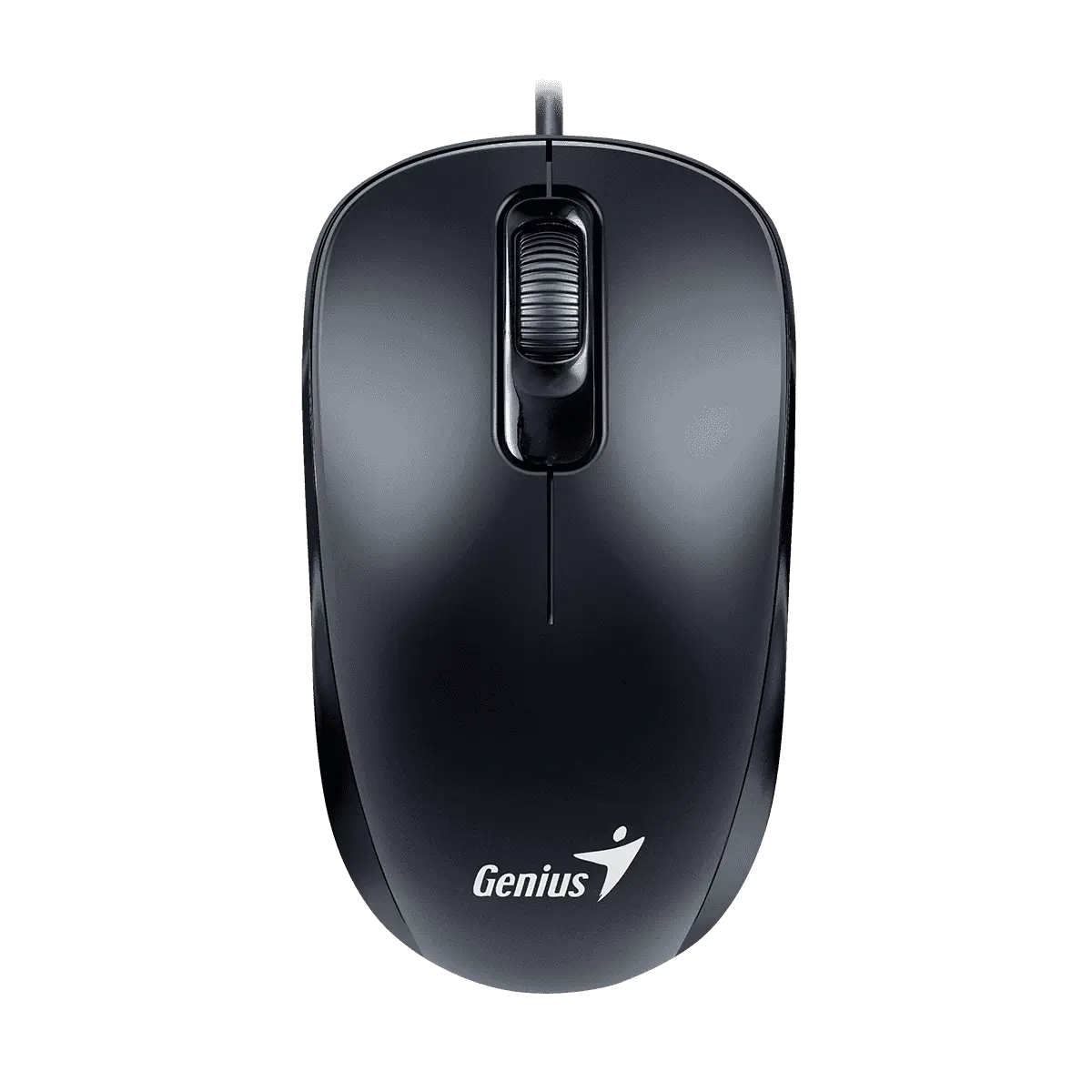 Genius DX-110 Myš, drátová, optická, 1200DPI, 3 tlačítka, USB-C, černá
