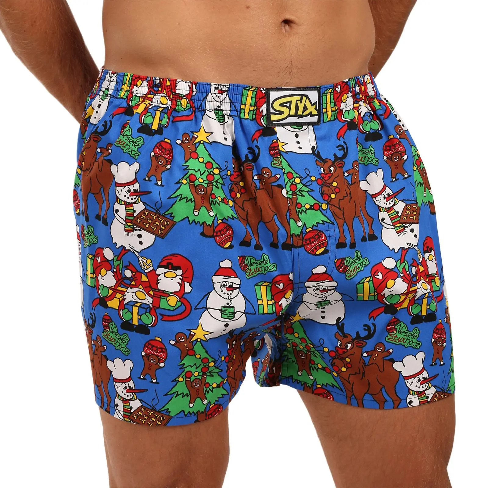 Pánské trenky Styx art klasická guma nadrozměr Vánoce pohoda (E1957) 5XL, trenýrky