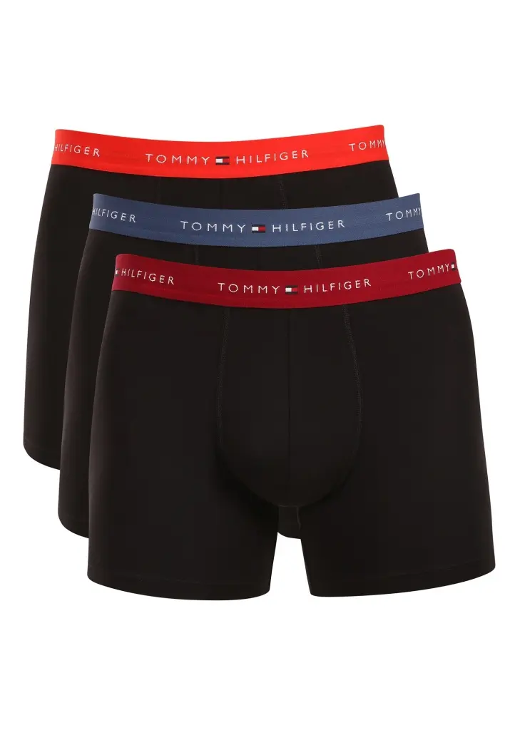 Pánské boxerky Tommy Hilfiger UM0UM03874 0SW 3PACK