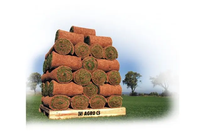 AGRO CS Trávníkový koberec AGRO Park