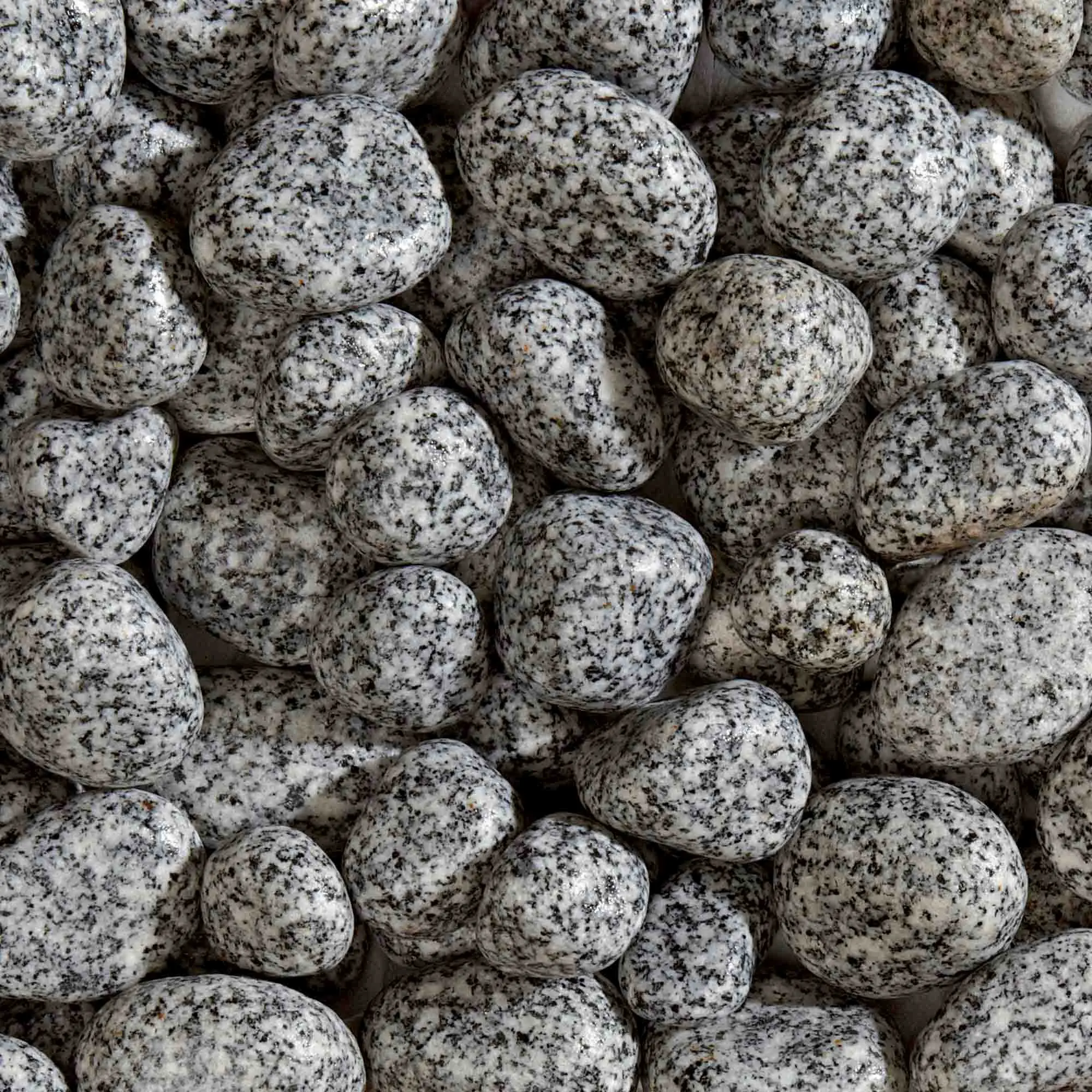 Zafido (distributor) Okrasné valounky Granito Montorfano 25 - 40 mm 25 kg