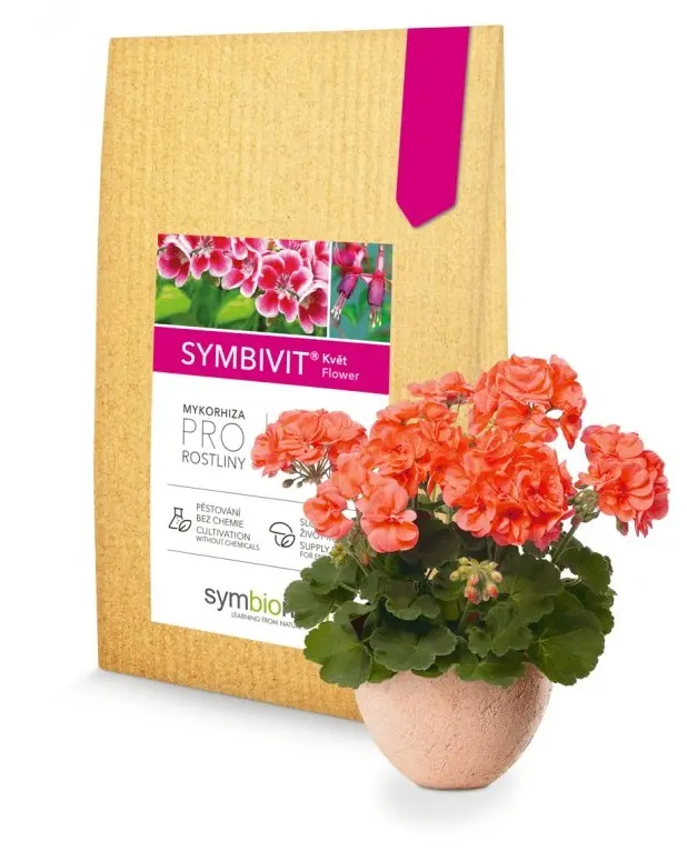 Symbiom Symbivit Květ mykorhizní houby 750 g