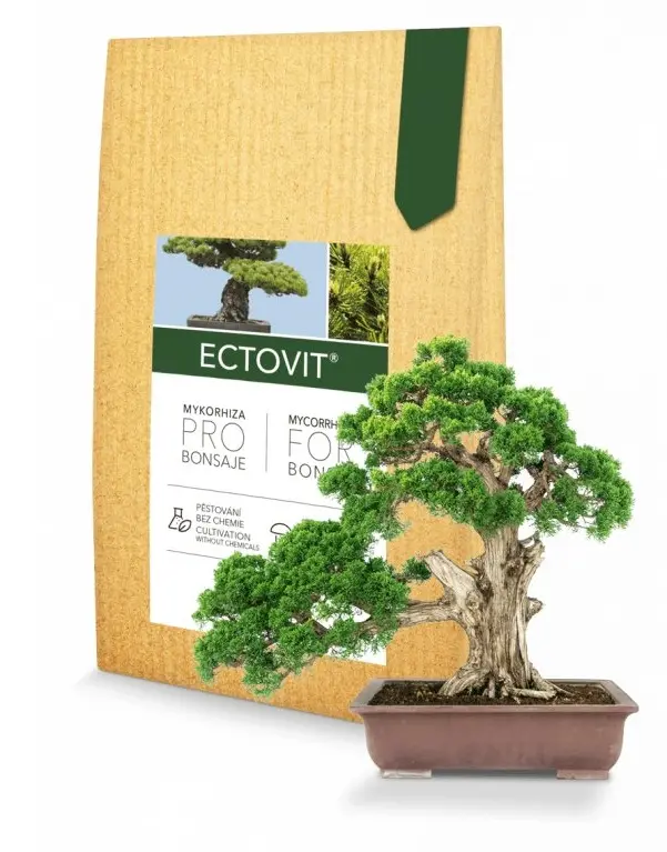 Symbiom Ectovit Bonsai mykorhizní houby 100 g