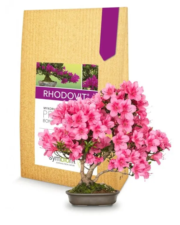 Symbiom Rhodovit Bonsai mykorhizní houby 100 g