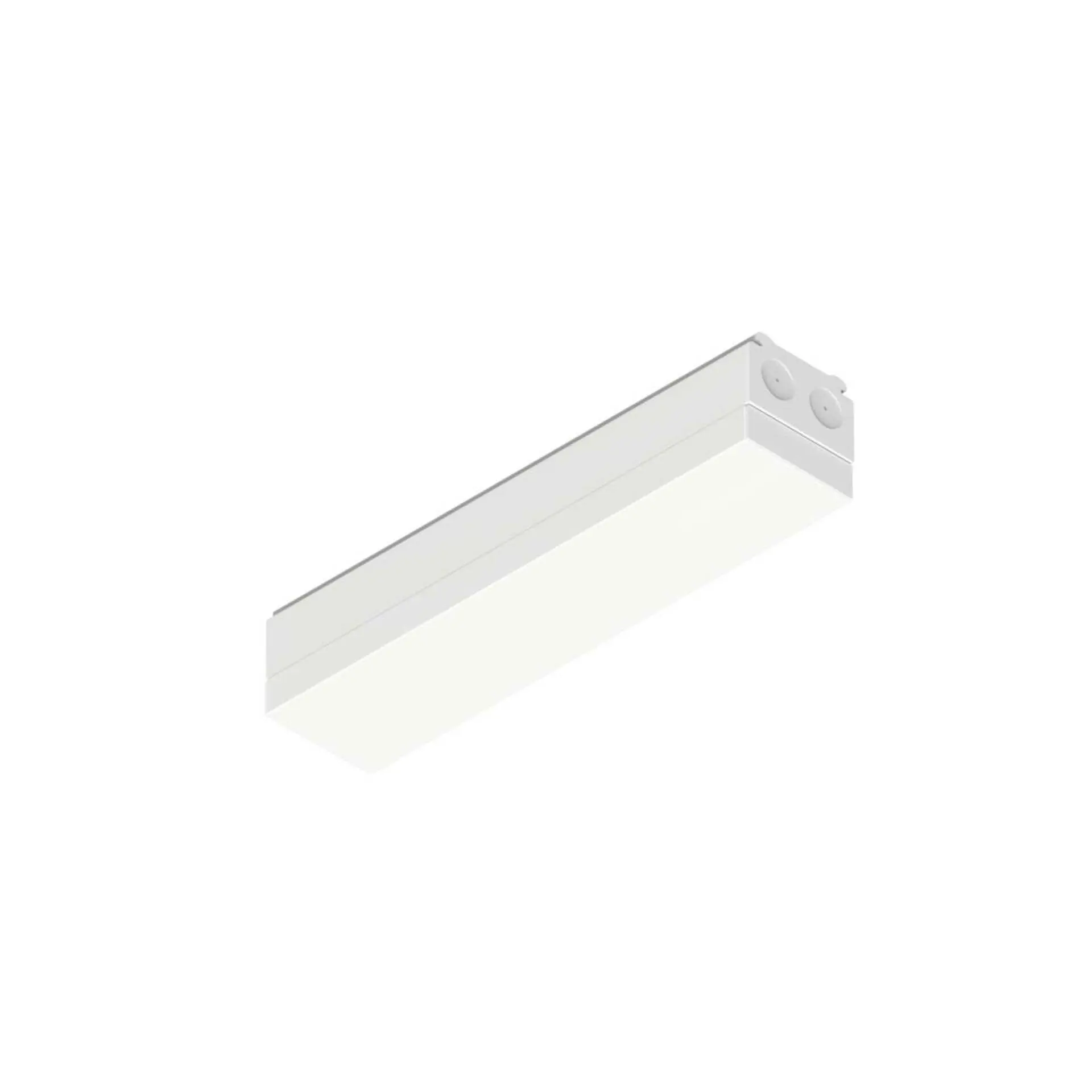 BIG WHITE SLV EASYLIGHT FIB 300 5 25 WH Feed in Box 300mm, 5 pole, 2,5mm2 1009230