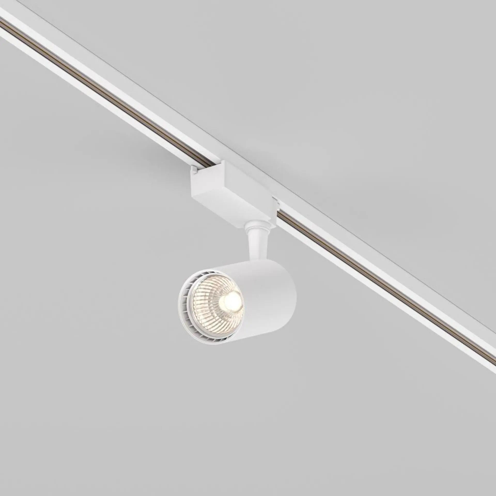MAYTONI svítidlo pro kolejnicový systém TR003-1-10W3K-S-W