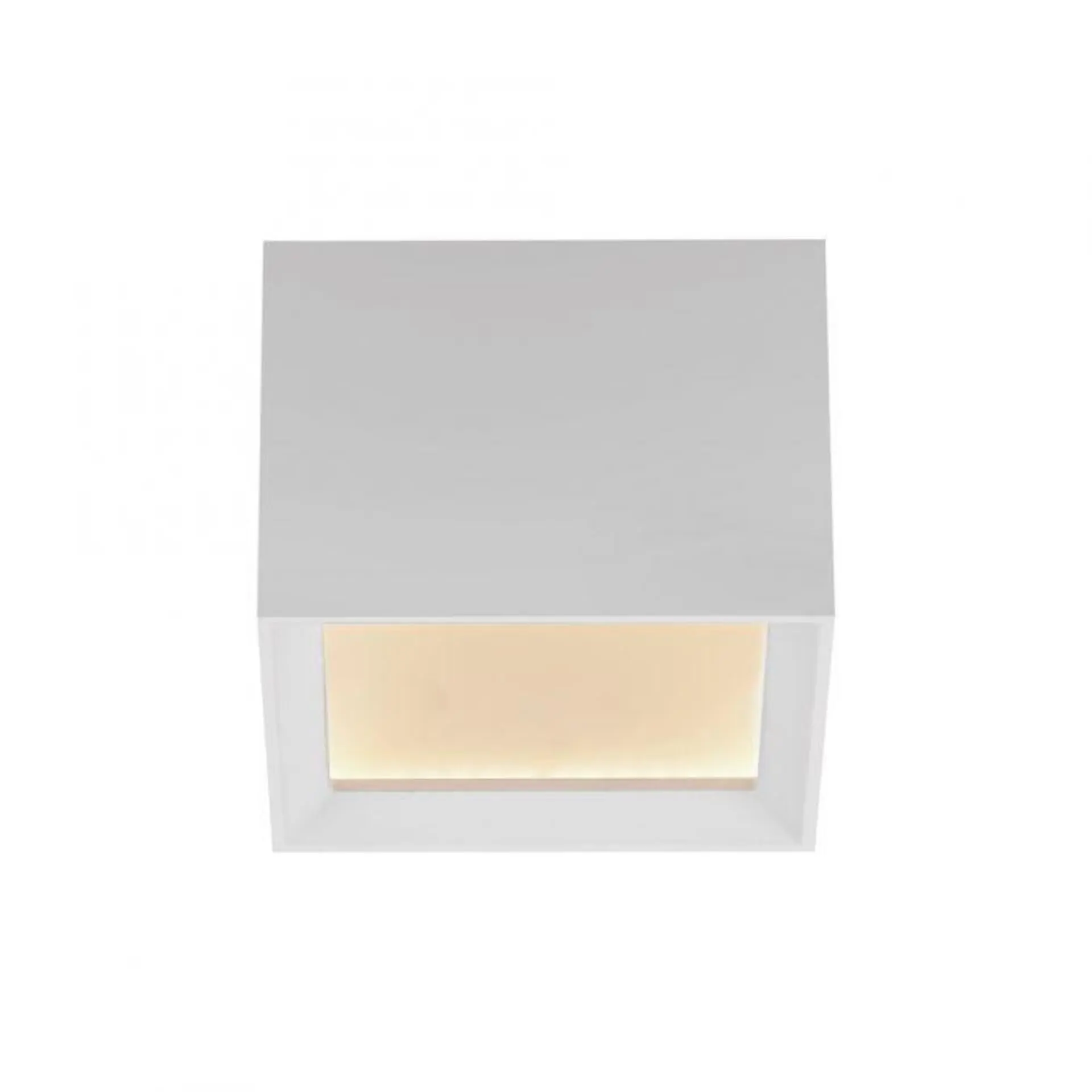 PAUL NEUHAUS PURE Manhattan, LED stropní svítidlo bílá, 2200-5000K