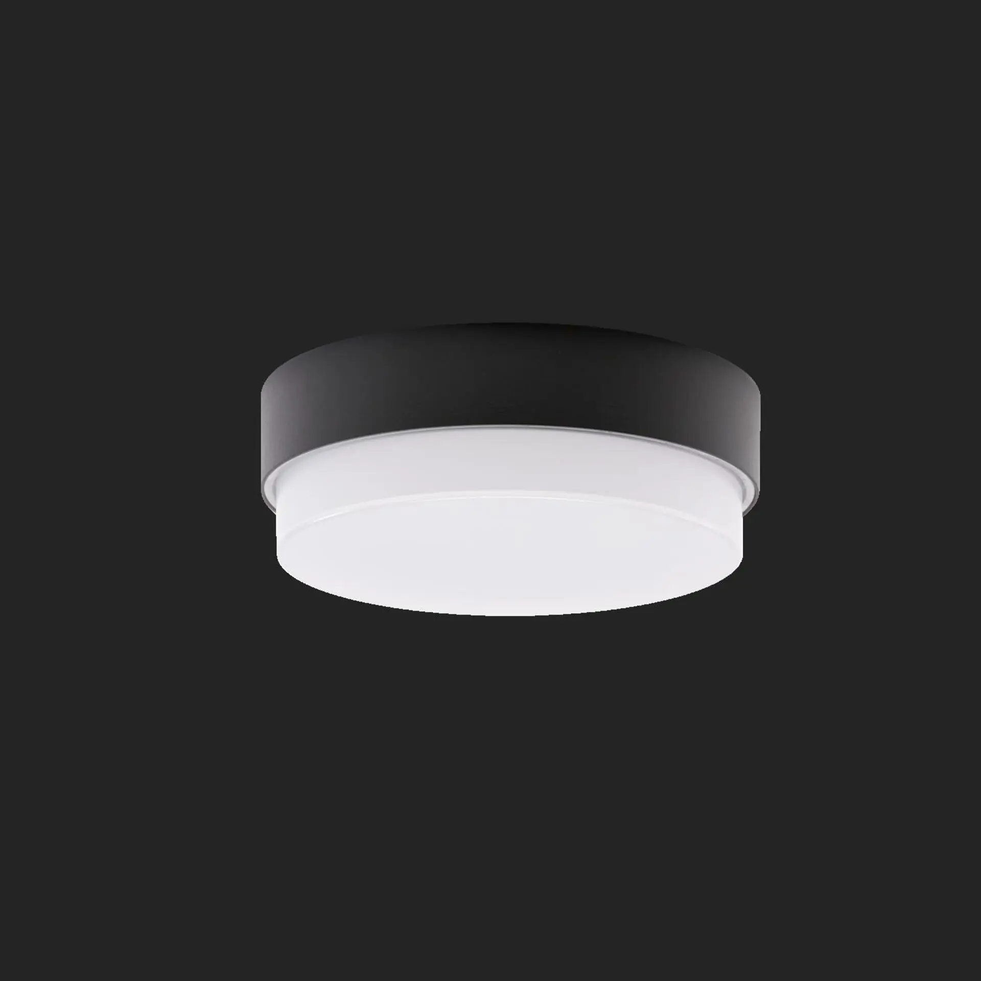 OSMONT TRI57273 TRITON 1 stropní/nástěnné průmyslové plastové svítidlo černá / bílá IP65 3000 K 14W LED nouzové kombinované 3 h