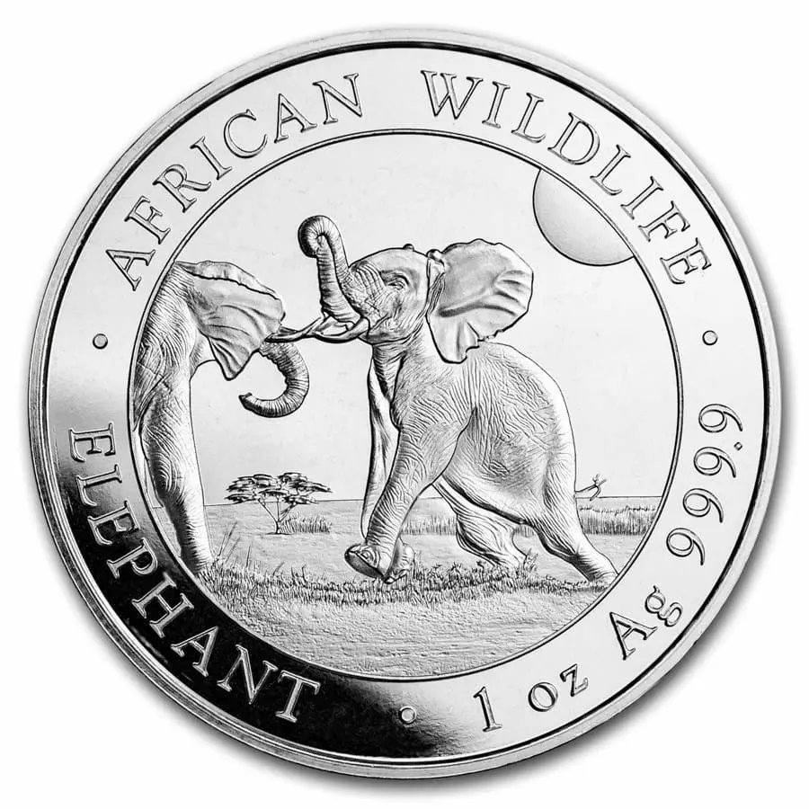 Stříbrná mince Somálsko Slon 1 oz African Wildlife 2024 Ag 9999 Bavorská mincovna