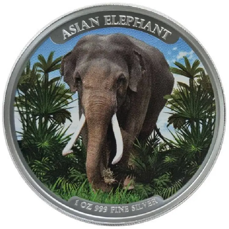 Stříbrná mince Slon 1 oz Big Five Series 2023 Ag 9999 Barevné BU Rarita 2000 ks