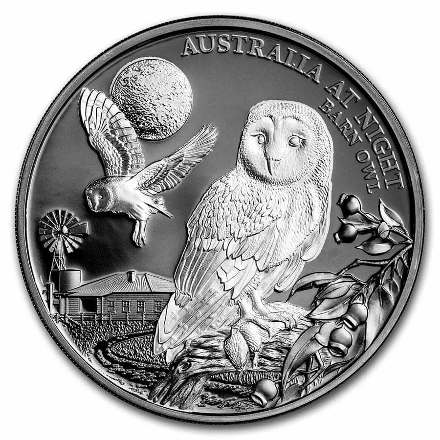 Stříbrná mince Night Barn Owl (Noční sova pálená) 1 Oz 1 $ 2022 Niue