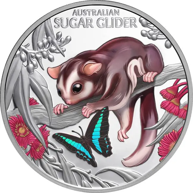 Stříbrná mince Baby Sugar Glider 2026 – 1 NZD 1 oz Ag 999 Proof (PP)