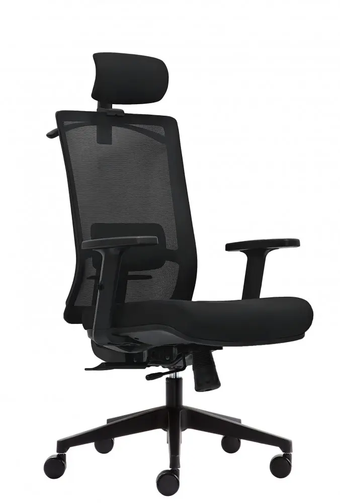 Kancelářská ergonomická židle DVIS — více barev