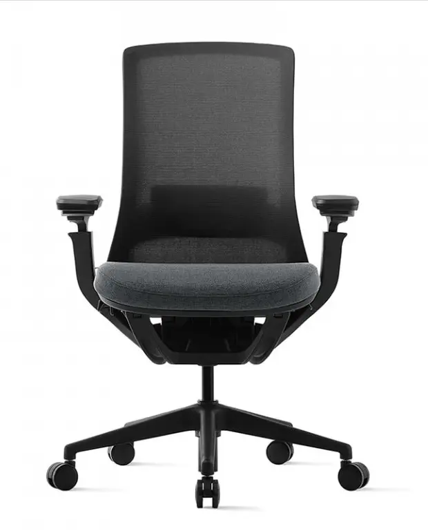 Kancelářská ergonomická židle ROLY BLACK - síťovina, více barev Antracit